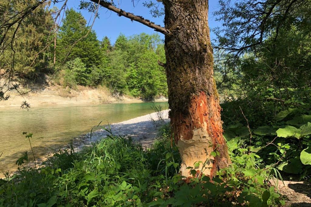Ferienhaus Koenigsdorf - Urlaub Im Toelzer Land Konigsdorf Bagian luar foto